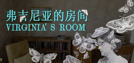 弗吉尼亚的房间 封面