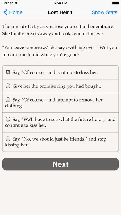 The Lost Heir游戏截图