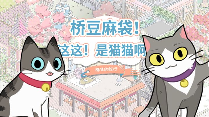 这这!是猫猫啊!#新游戏观察局#截图