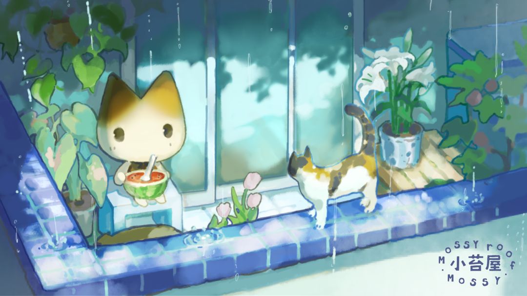 小苔屋截图
