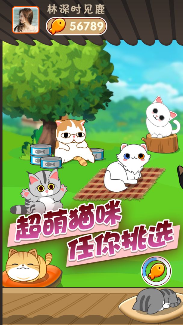 梦幻猫咪游戏截图
