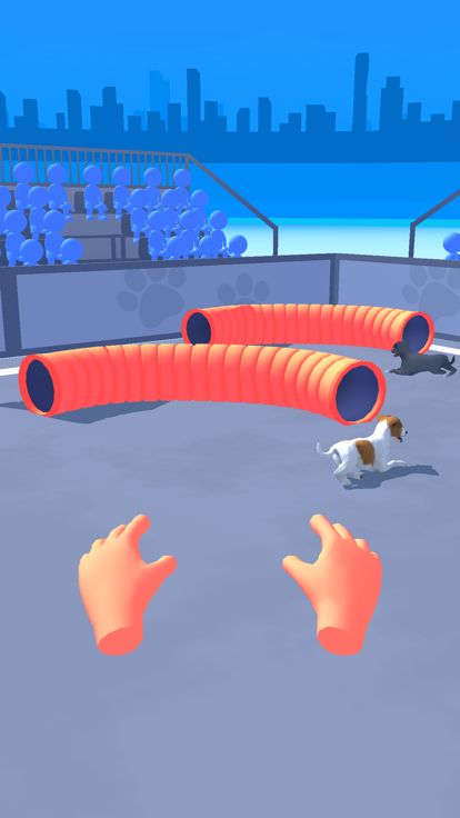 Dog Training Manager游戏截图