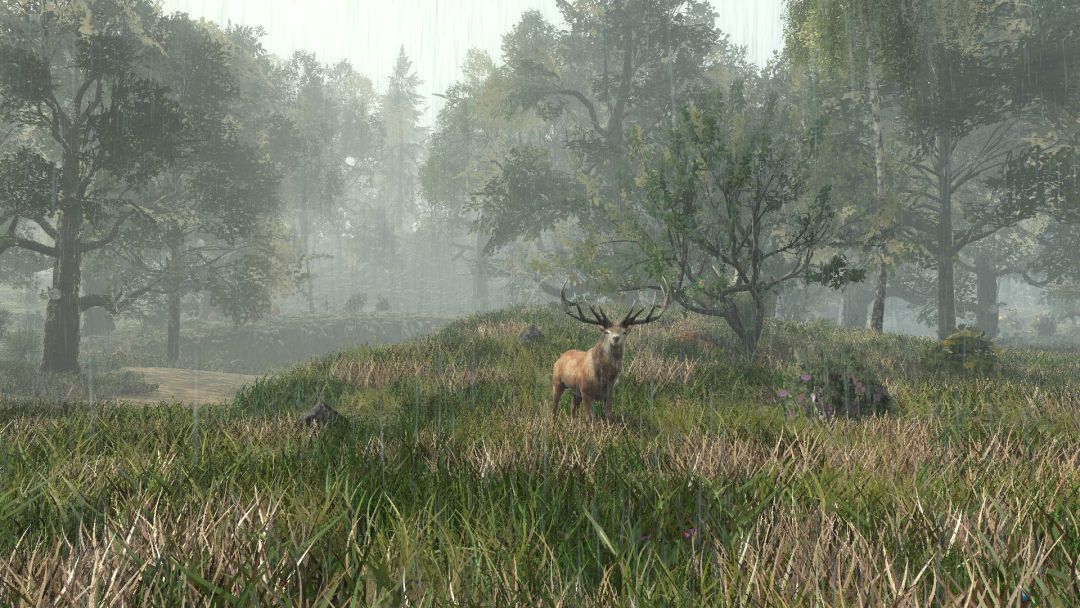 Life is Feudal: Forest Village游戏截图