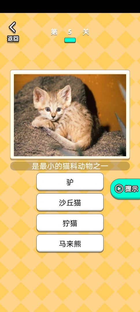 开心动物农场游戏截图