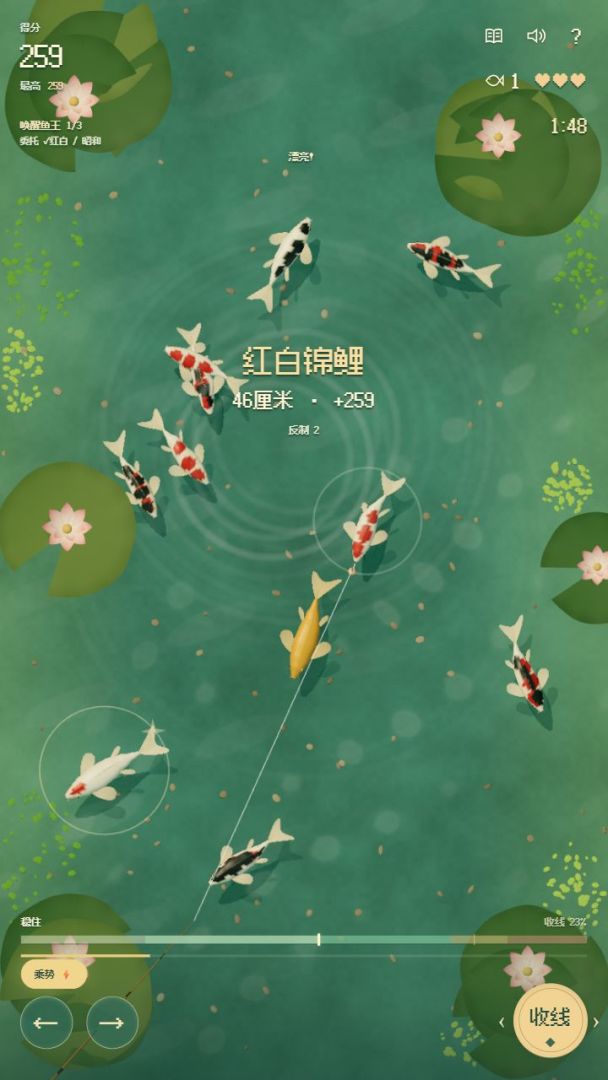 锦波寻鲤游戏截图