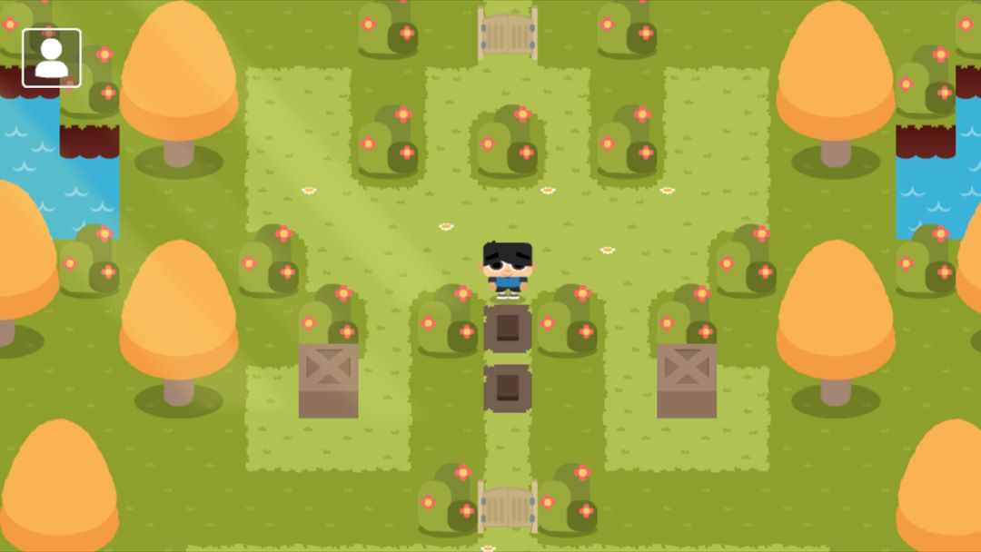 Sokoban Land DX游戏截图