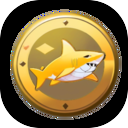 鲨币派对icon