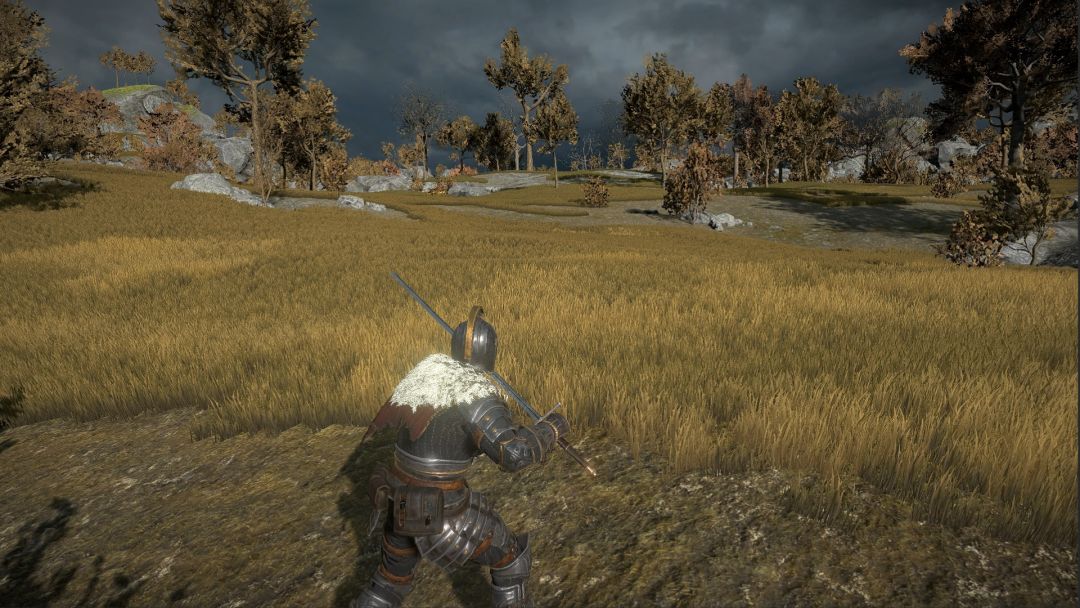 凡尔赛法环游戏截图