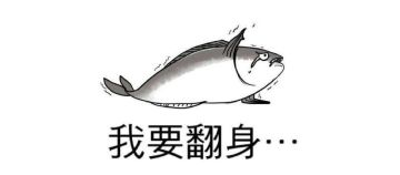 【趣味盘点】ID不知怎么起？有一份起名绝世秘籍送给你！