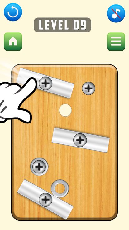 Screw Nuts And Bolts Puzzle游戏截图