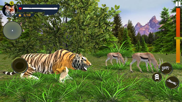 Wild Tiger Simulator游戏截图
