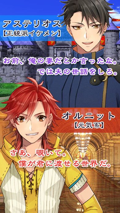 オムニバスプリンセス游戏截图