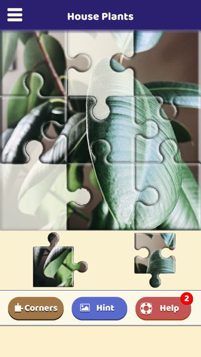 House Plants Puzzle游戏截图