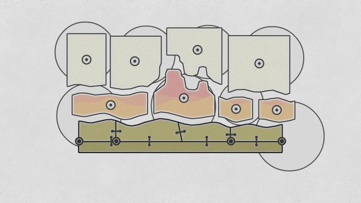 Shape Fold Nature游戏截图