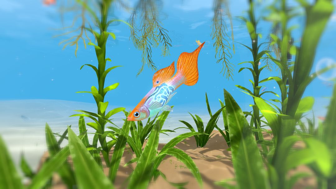 FISHERY游戏截图