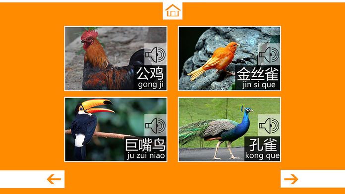 动物叫声-鸟类篇：动物园世界的叫声游戏游戏截图