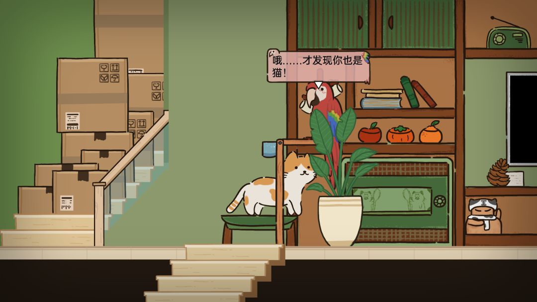 猫在家里游戏截图