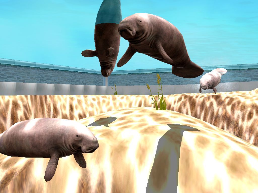 Marine Park Empire游戏截图