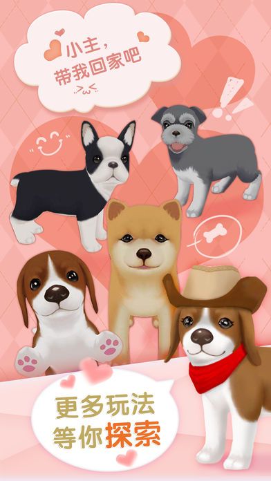 心动小狗：伙伴游戏截图