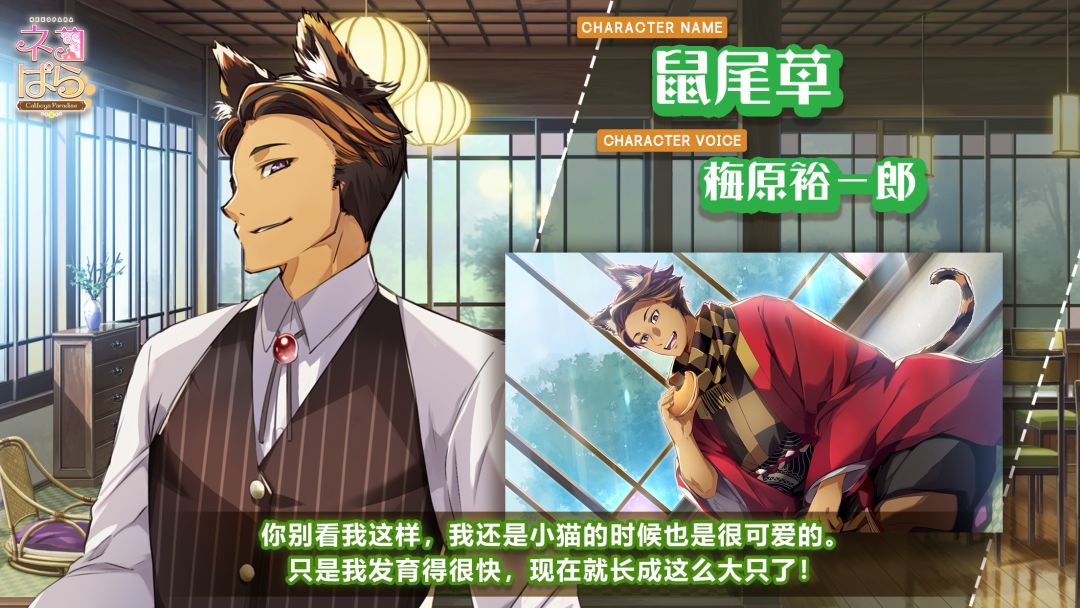 猫郎乐园 - Catboys Paradise游戏截图