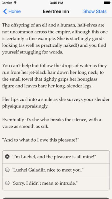 Evertree Inn游戏截图