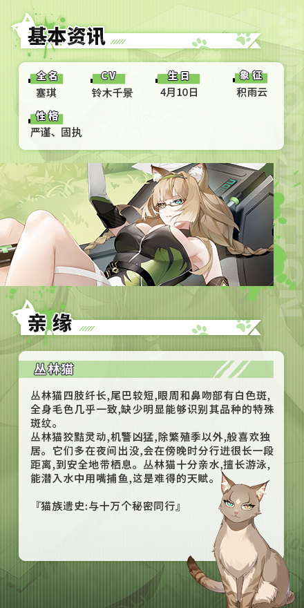 活动召唤上新：丛林猫登场！