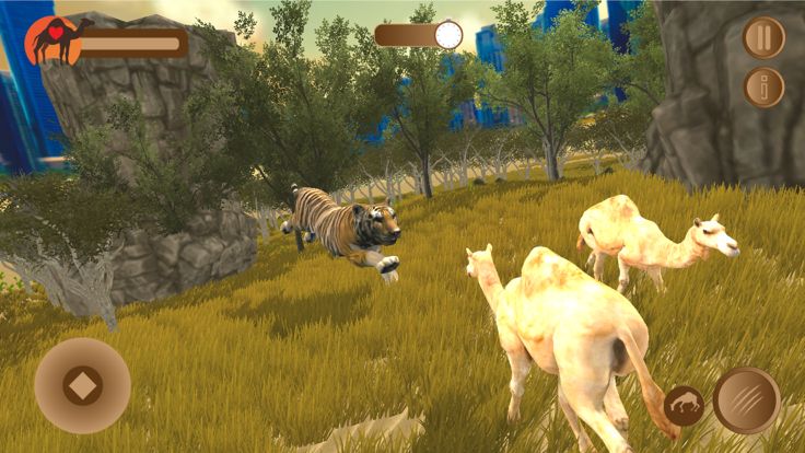 Dubai Desert Camel Simulator游戏截图