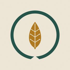 茶皇乐游
