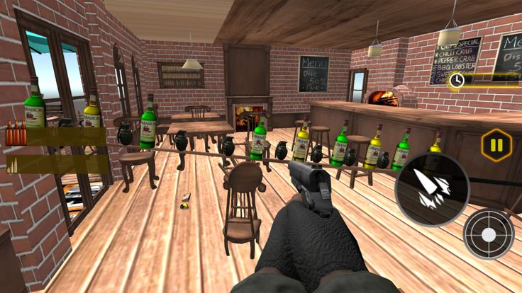 Bottle Expert Shooting 3D游戏截图