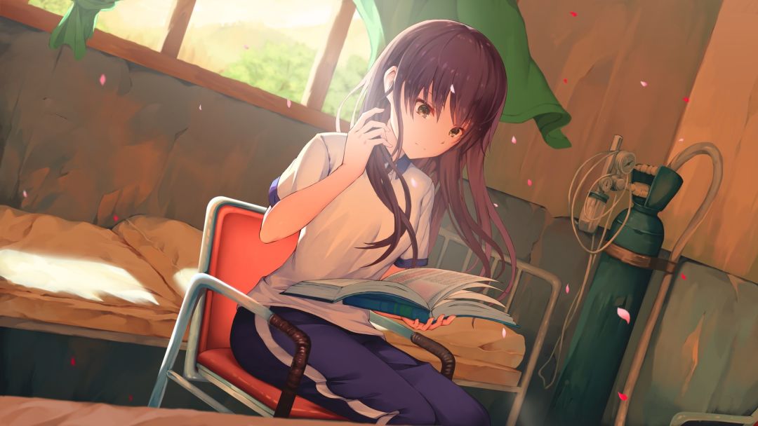 候鸟游戏截图