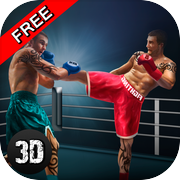 Thai Box Fighting Challenge 3D
