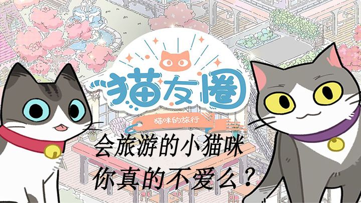 会旅游的猫咪真的很酷呢！！#新游观察局#截图