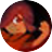 Tunche: Arenaicon
