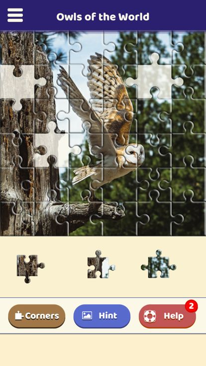 Owls of the World Puzzle游戏截图