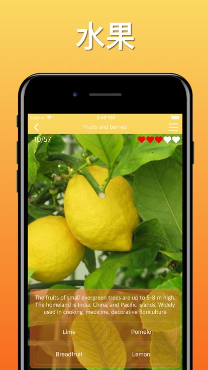 水果蔬菜浆果游戏截图