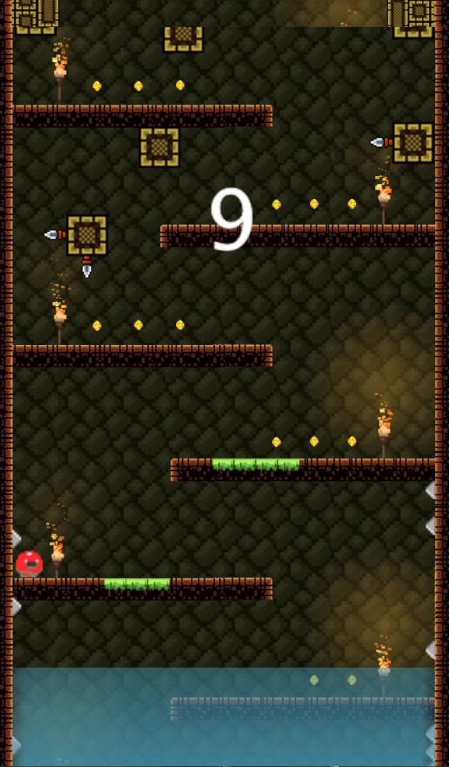 Ninja Run Escape游戏截图