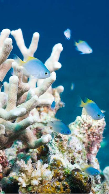 Landscapes of the sea游戏截图