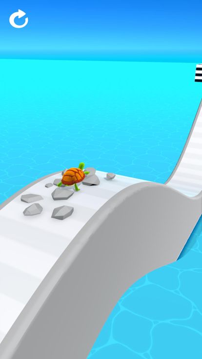 Turtle Race 3D游戏截图