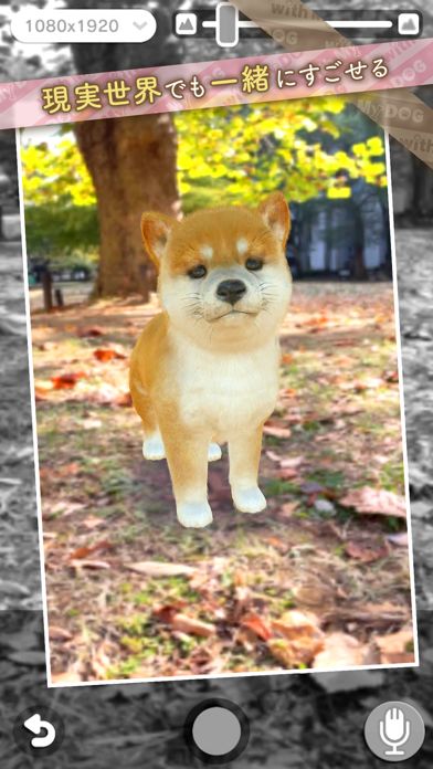 with My DOG - 犬とくらそう -游戏截图