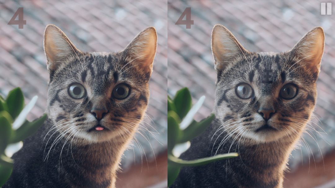 慧眼寻异游戏截图