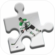 Ultimate Hockey Puzzle
