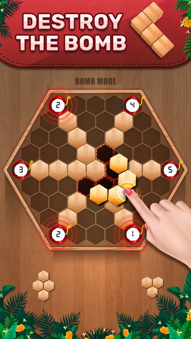 Wooden 100 Block - Hexa Puzzle游戏截图