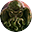 克苏鲁异闻录icon