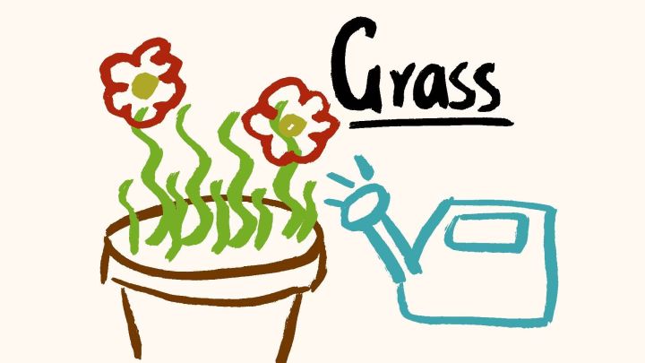 Grass 封面