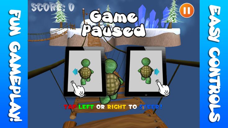 Baby Turtle Race of Dragons游戏截图