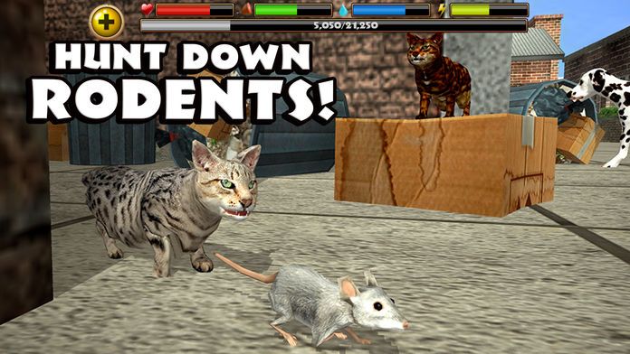 Stray Cat Simulator游戏截图