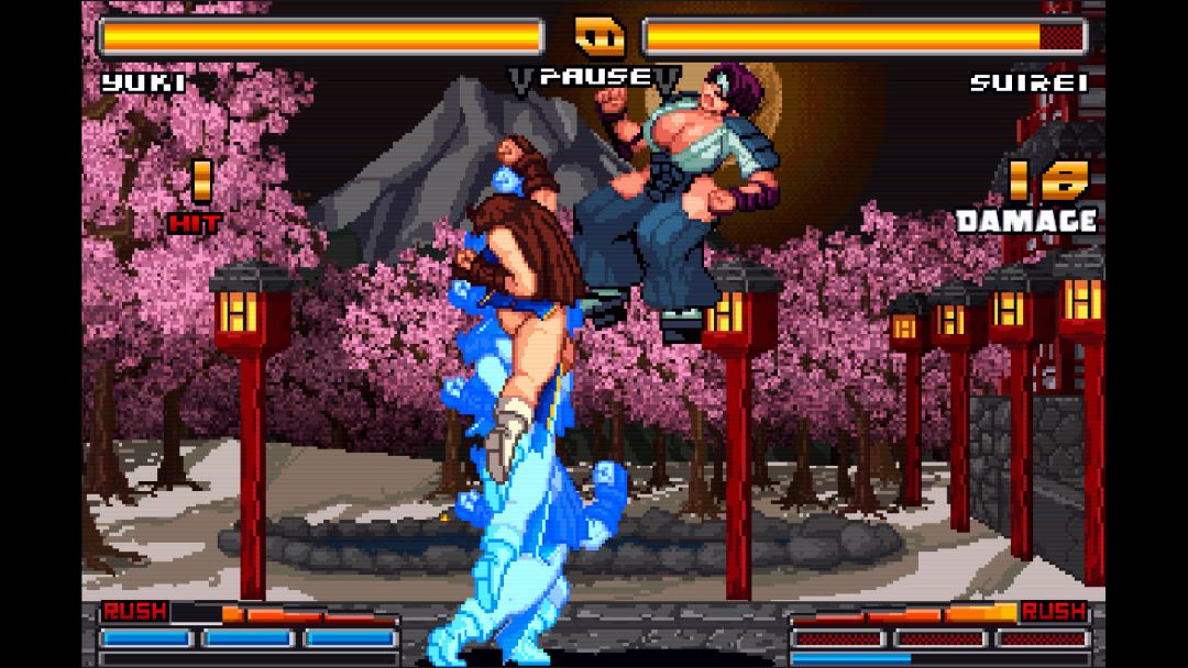 Strip Fighter ZERO游戏截图