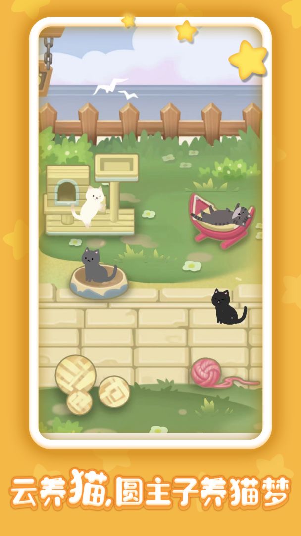 有间猫咪小院游戏截图