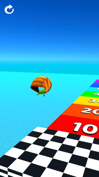 Turtle Race 3D游戏截图