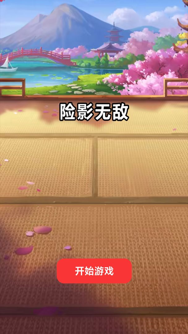 险影无敌游戏截图